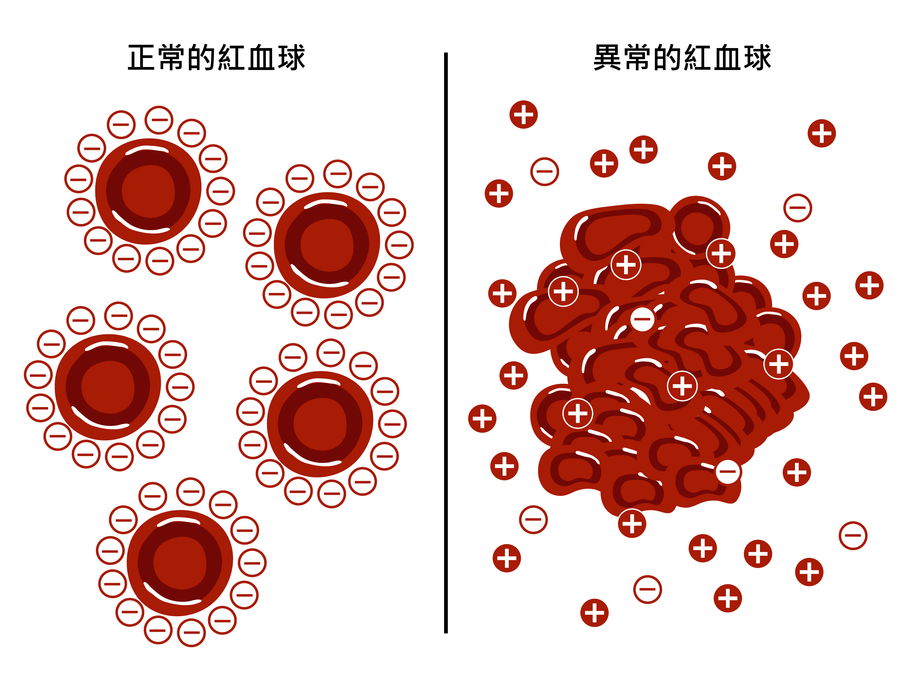 Zetal Potential of Red Blood Cell